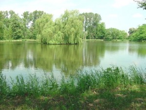 Okolice Wycześniaka