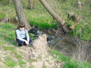 Bobry przegryzły...  