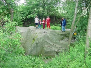 Gigantyczny głaz narzutowy przy drodze z "katowickiej"  do Białej Rawskej   